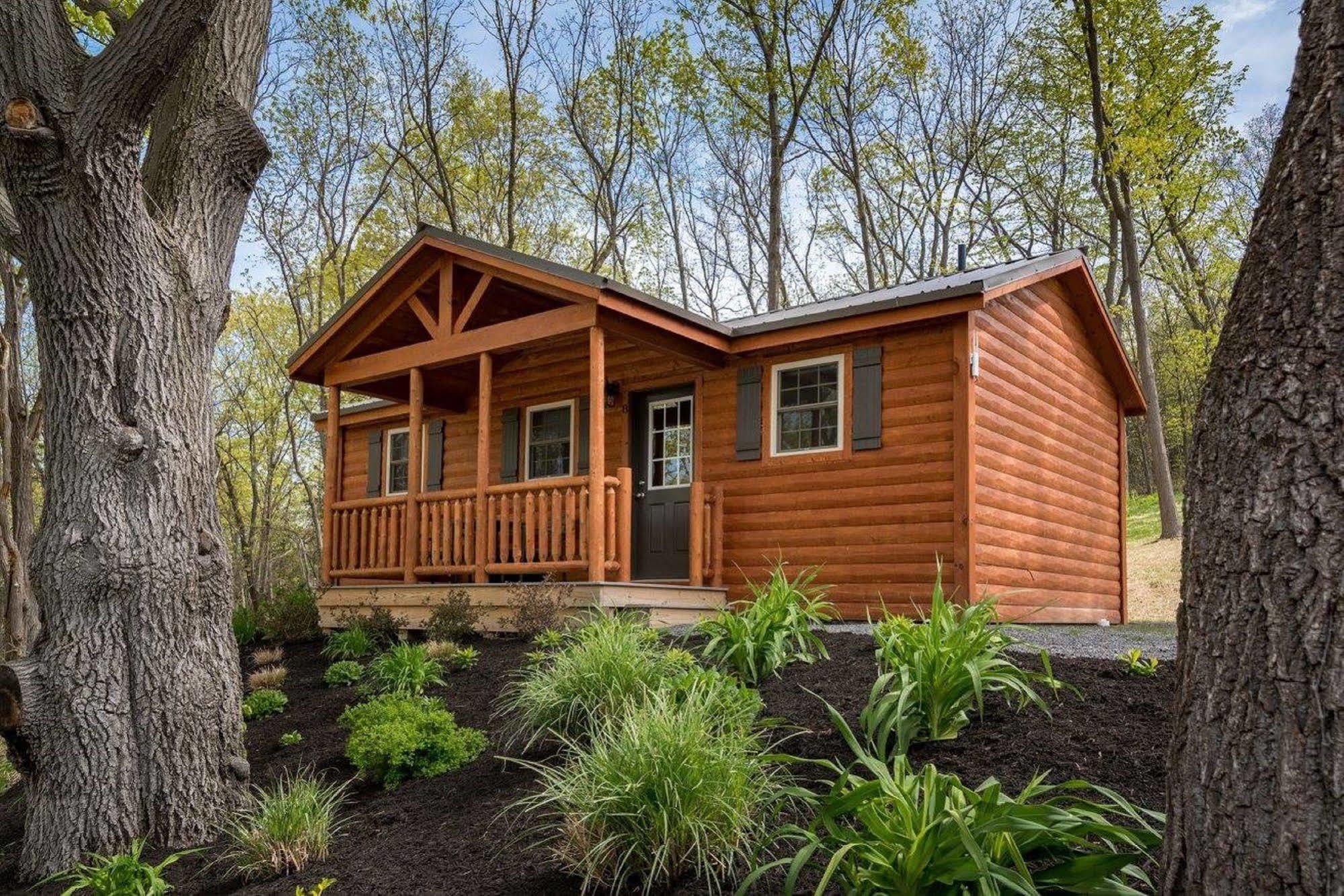 Single Island Shores Hector Exterior foto